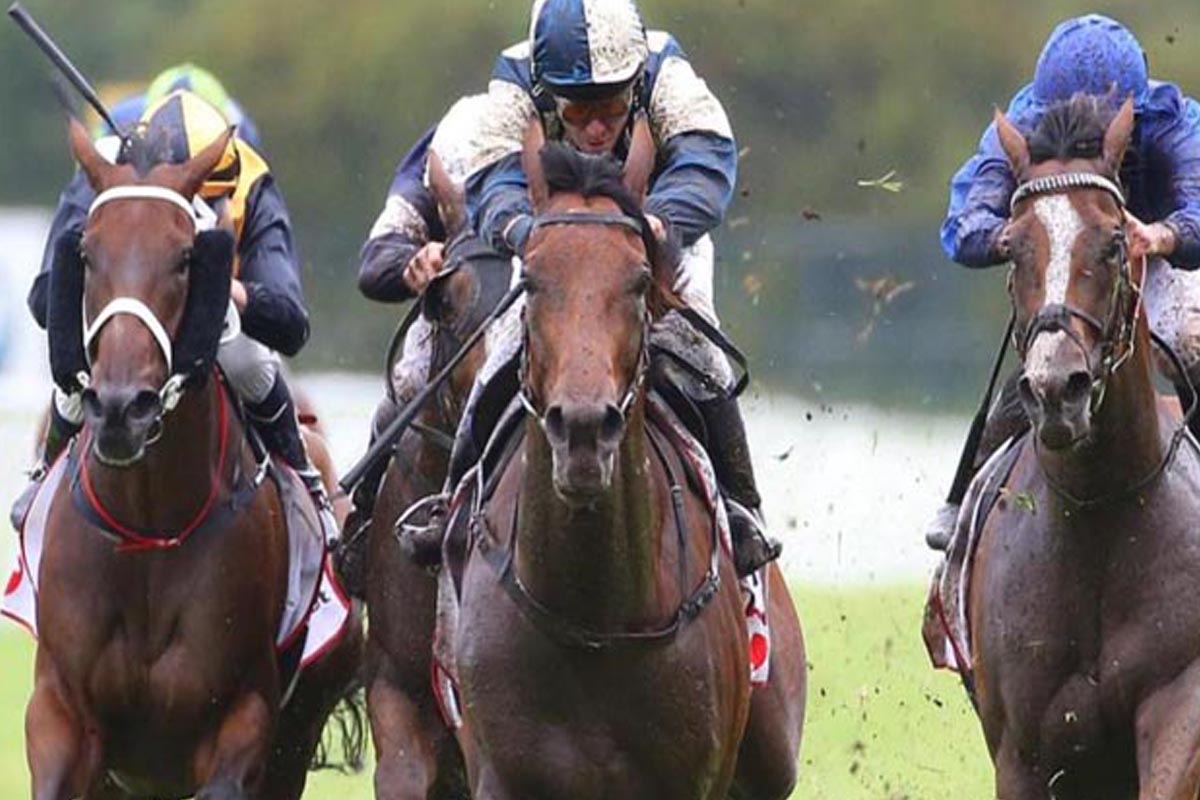 A One Year Journey in Website Redesign, Social Media Marketing, and SEO